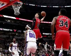 行业动态-公牛队友